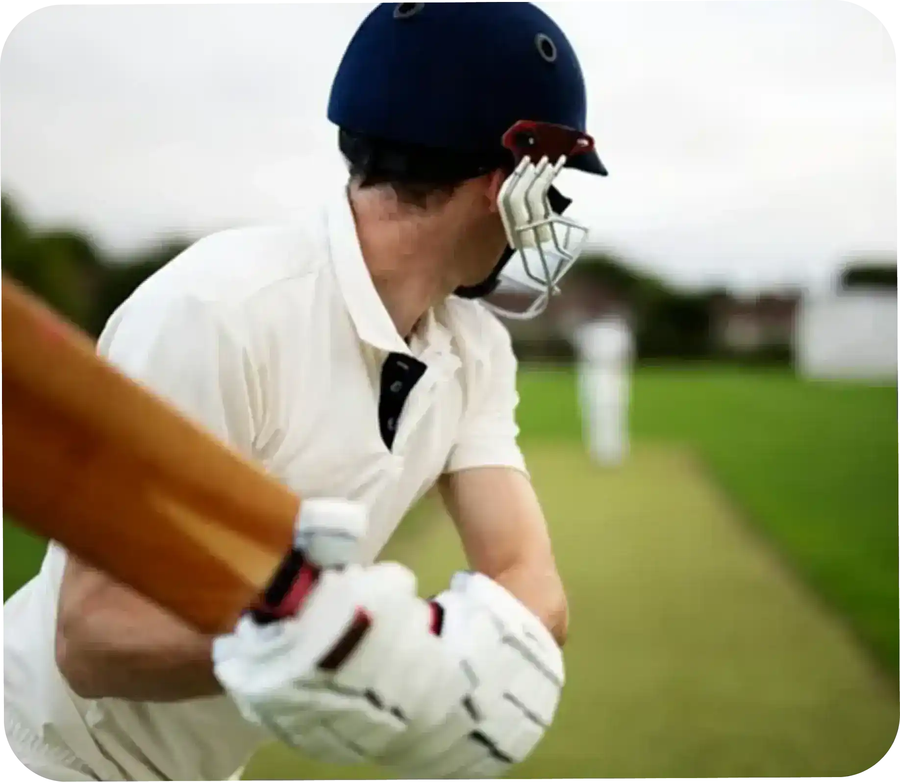 Cricket Betting on Lotus 365